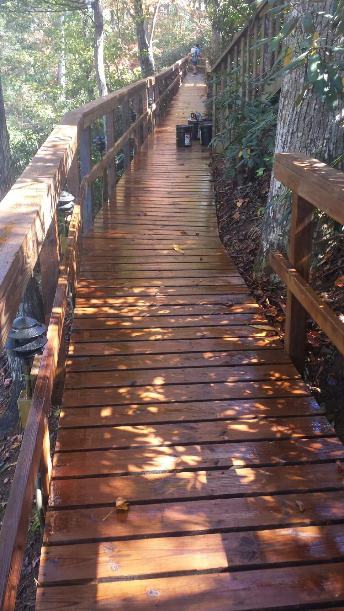Freshly stained wood walkway winding through the woods in Sparr